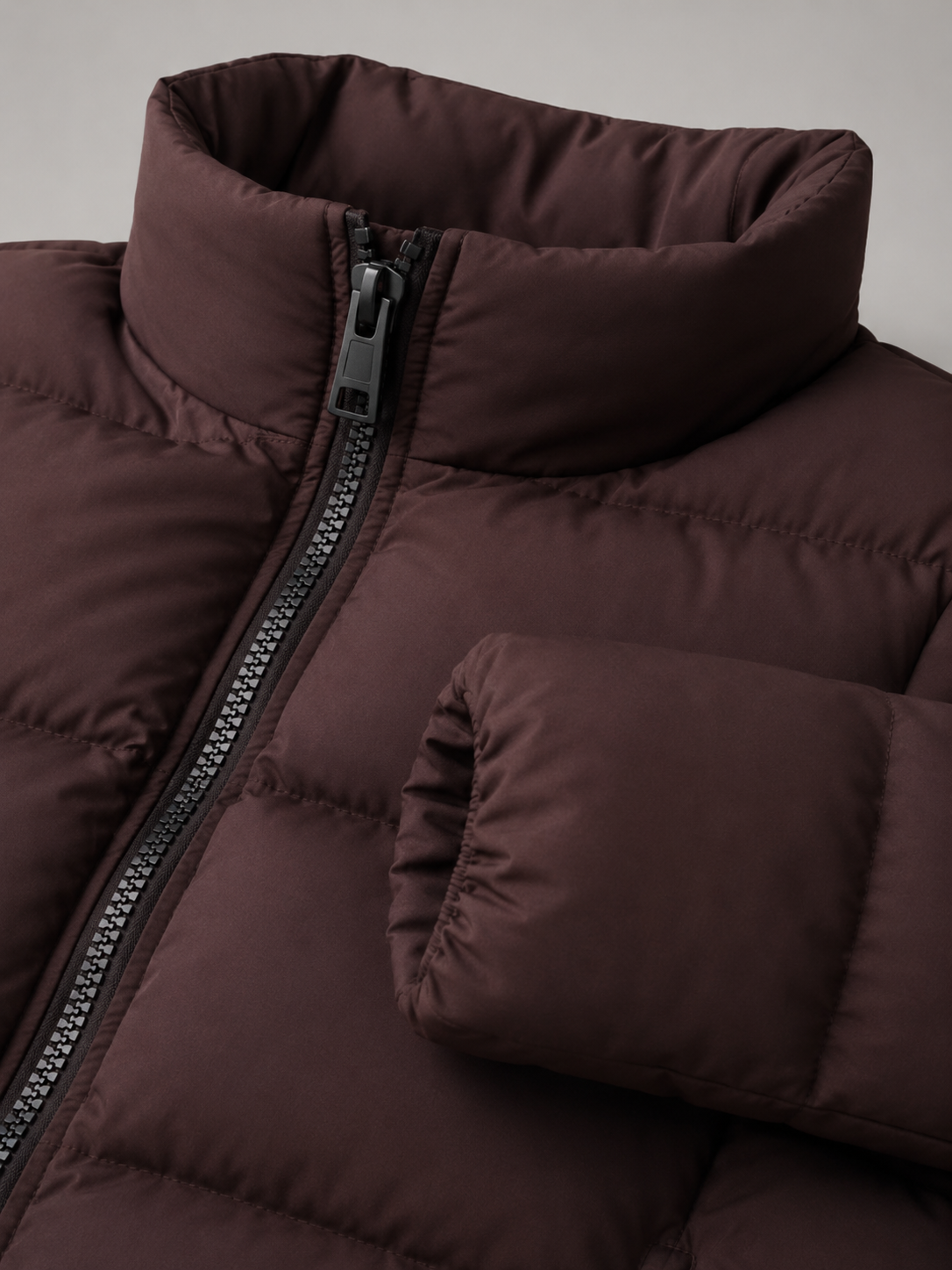 Zip Front Belted Jacket for Women